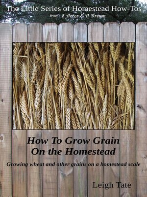 cover image of How to Grow Grain On the Homestead